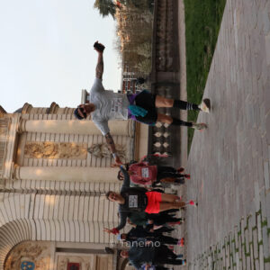 IMG_7910 Product