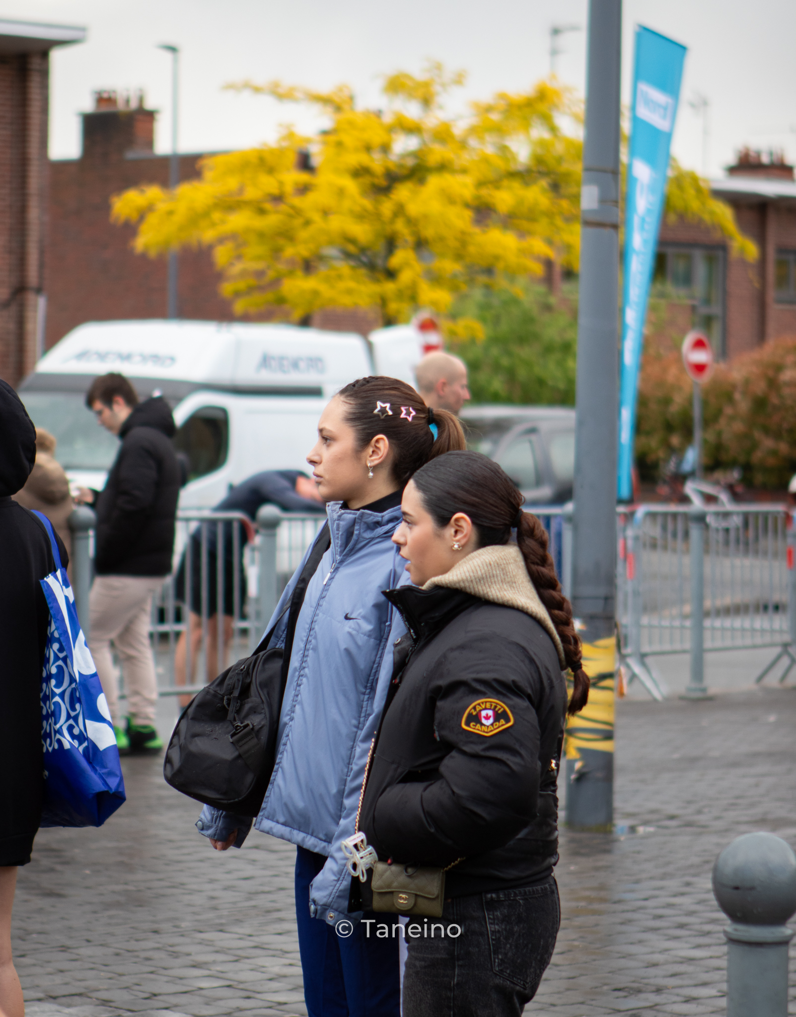 IMG_0262 IMG 0262