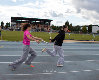 IMG 4223
