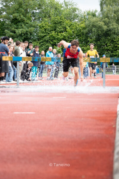 IMG 7176