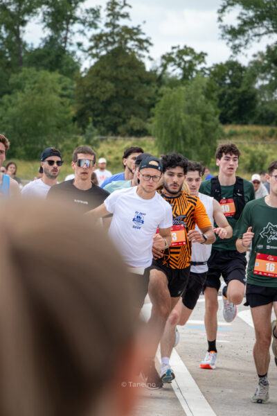 IMG_1006 IMG 1006