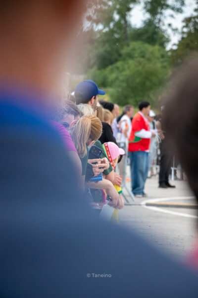IMG_1015 IMG 1015