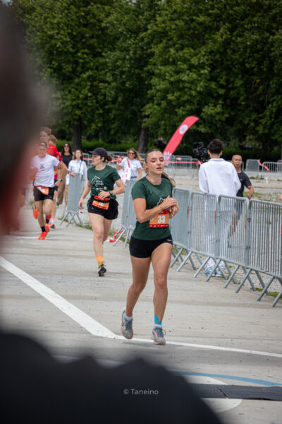 IMG_1033 IMG 1033