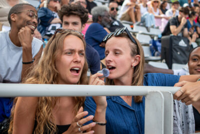 IMG 4390 2