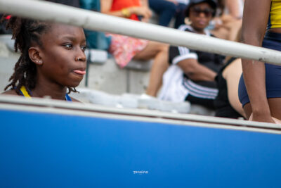IMG 4520