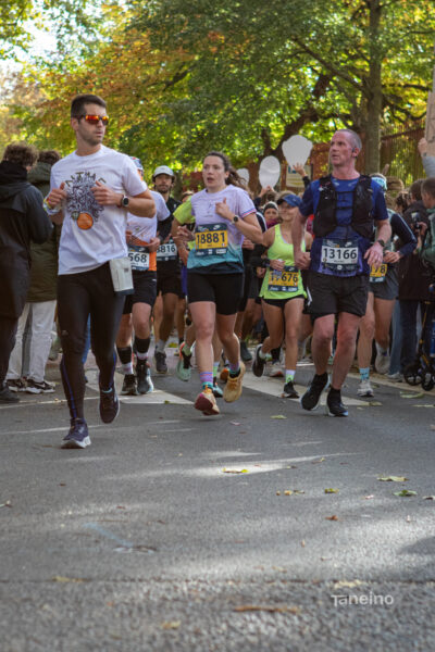0305 42km Trek Marathon Lille 2026