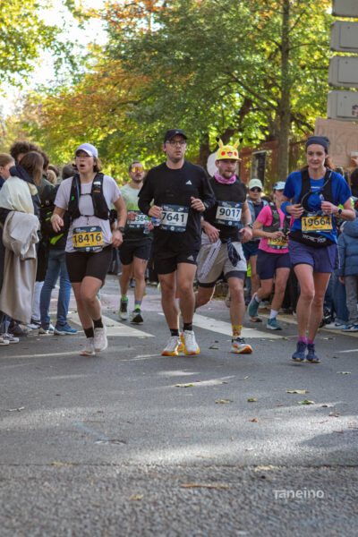 0315 42km Trek Marathon Lille 2026