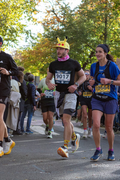 0318 42km Trek Marathon Lille 2026