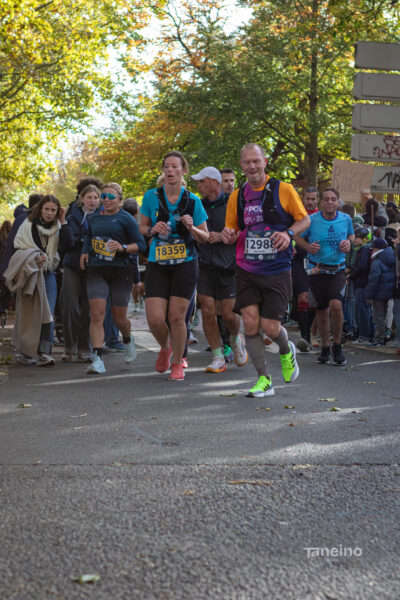 0339 42km Trek Marathon Lille 2026