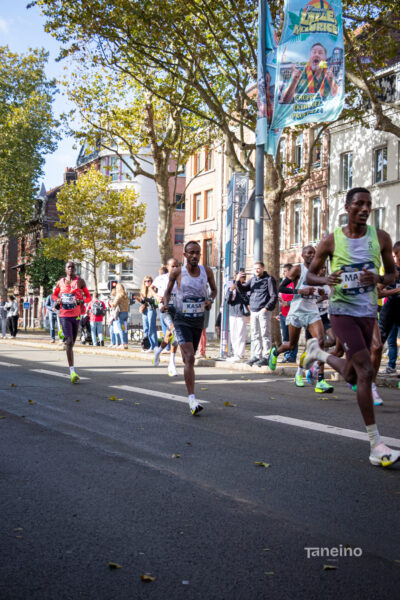 1178 42km Trek Marathon Lille 2026