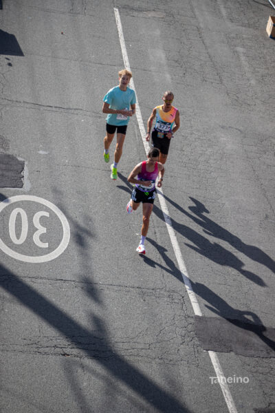 1570 42km Trek Marathon Lille 2026
