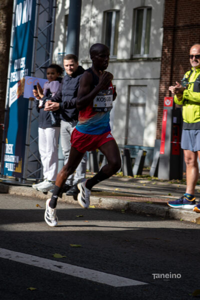 7614 42km Trek Marathon Lille 2026