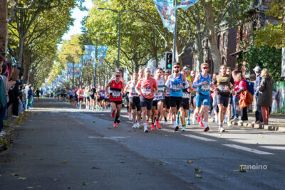 7812 42km Trek Marathon Lille 2026