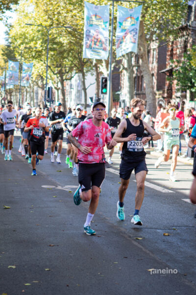 8061 42km Trek Marathon Lille 2026
