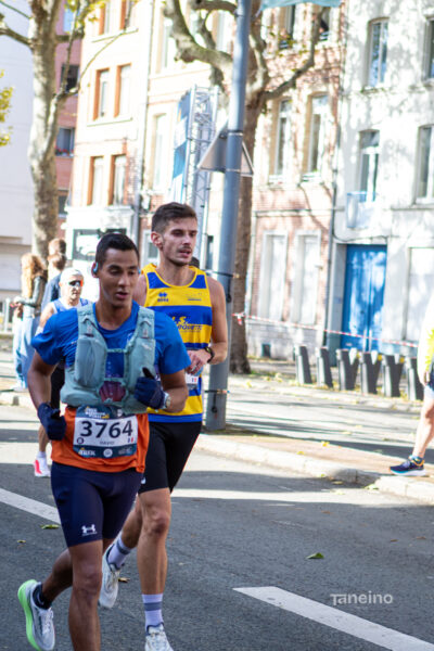 8178 42km Trek Marathon Lille 2026