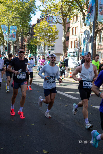 8291 42km Trek Marathon Lille 2026