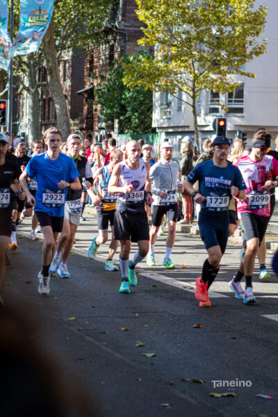 8394 42km Trek Marathon Lille 2026