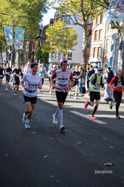8442 42km Trek Marathon Lille 2026