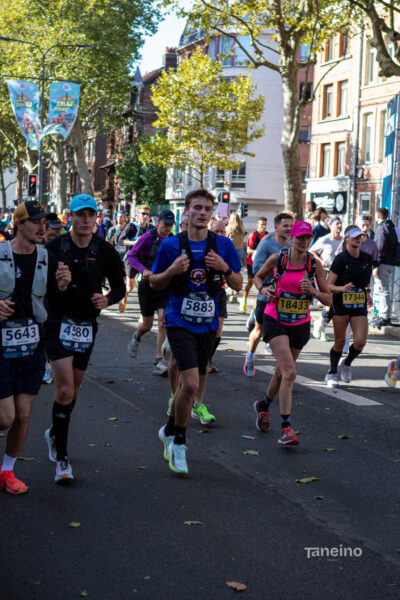8691 42km Trek Marathon Lille 2026