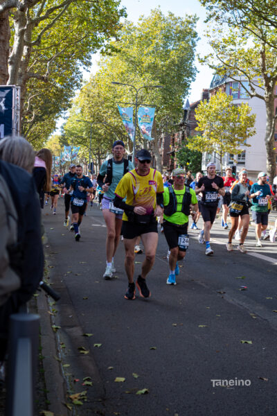 8877 42km Trek Marathon Lille 2026