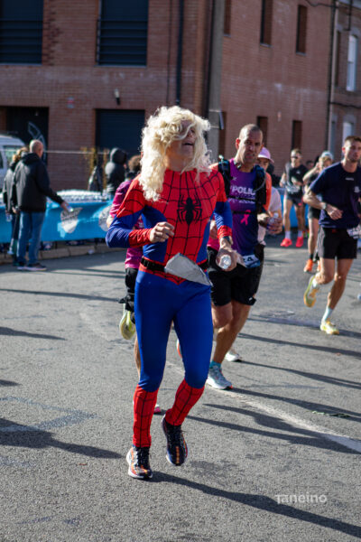 9531 42km Trek Marathon Lille 2026